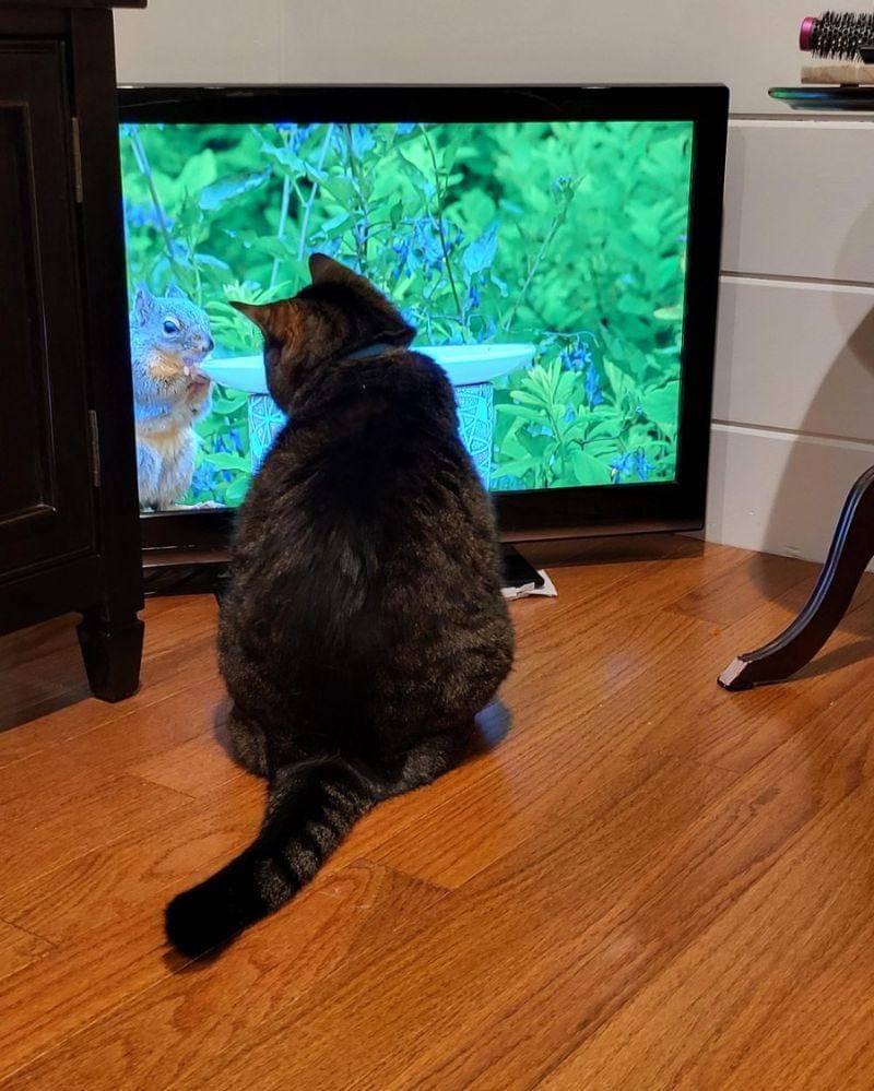 reddit.com/user/FrangePanem